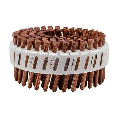 Beck LignoLoc® Wooden Nail F60 with Head