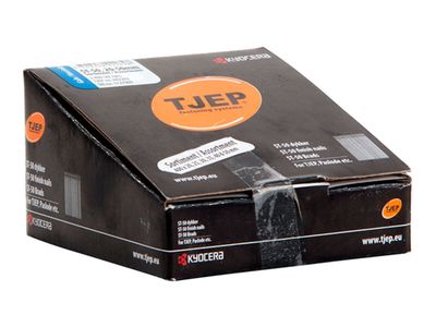 Tjep ST-50 assorted concrete pin - 20-50 mm - 842262 - Galvanized