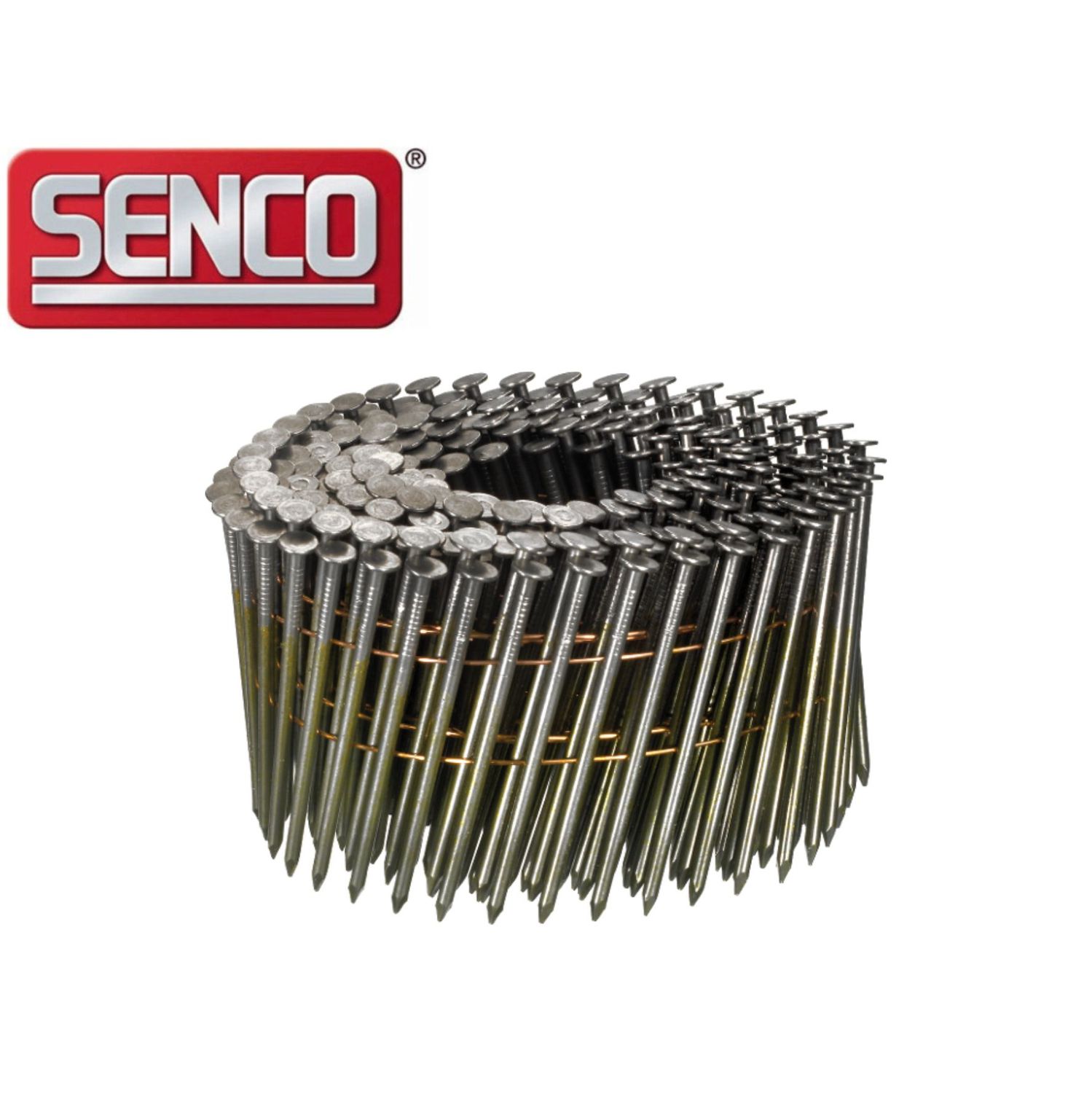 Coil Nail Senco 2.9 x 65 mm - GL25APBF - bright - Ring - 6.750 nails