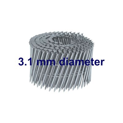 3.1 mm Diameter