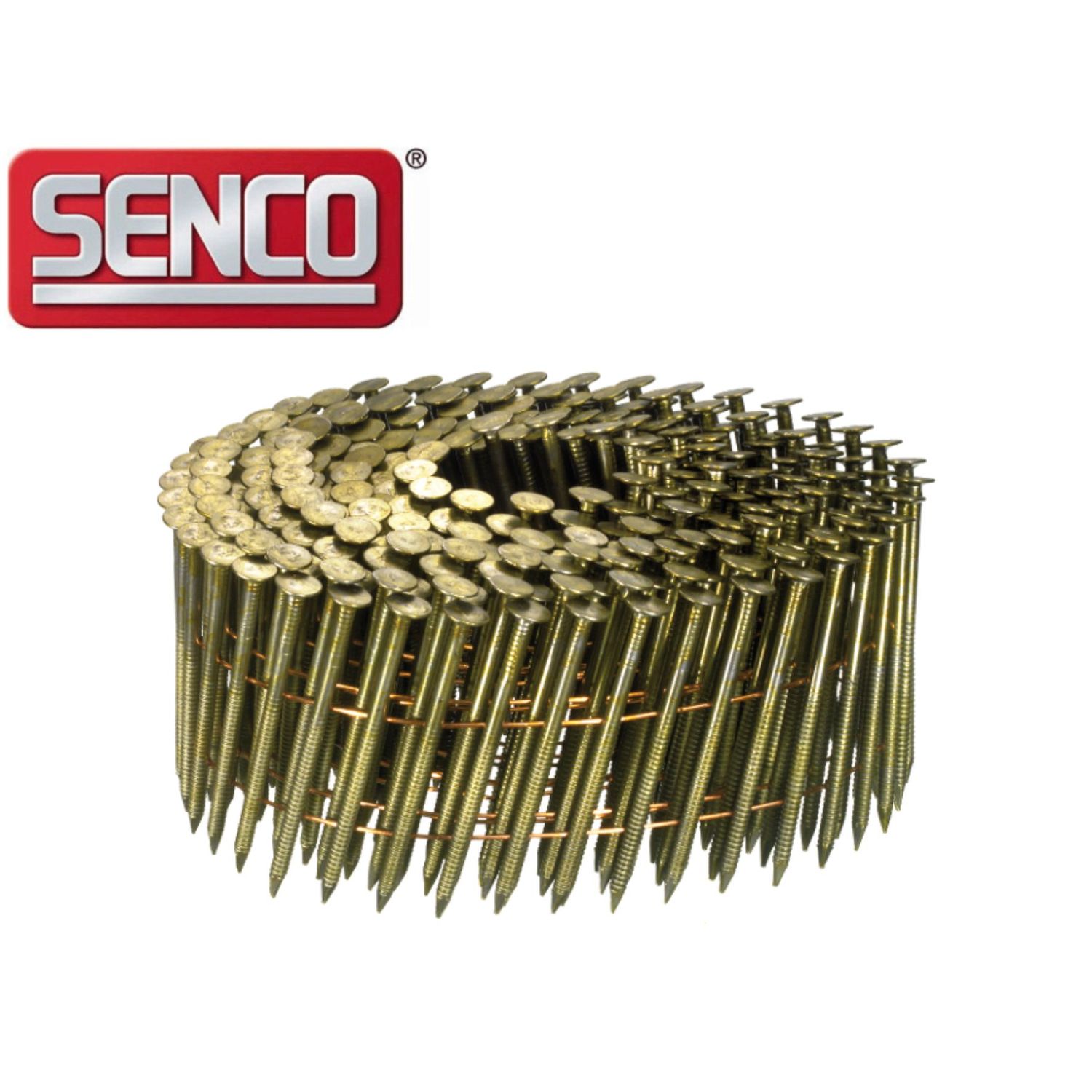 Coil Nail Senco 2.5 x 60 mm - BL24APBF - bright - ring - 7.425 nails
