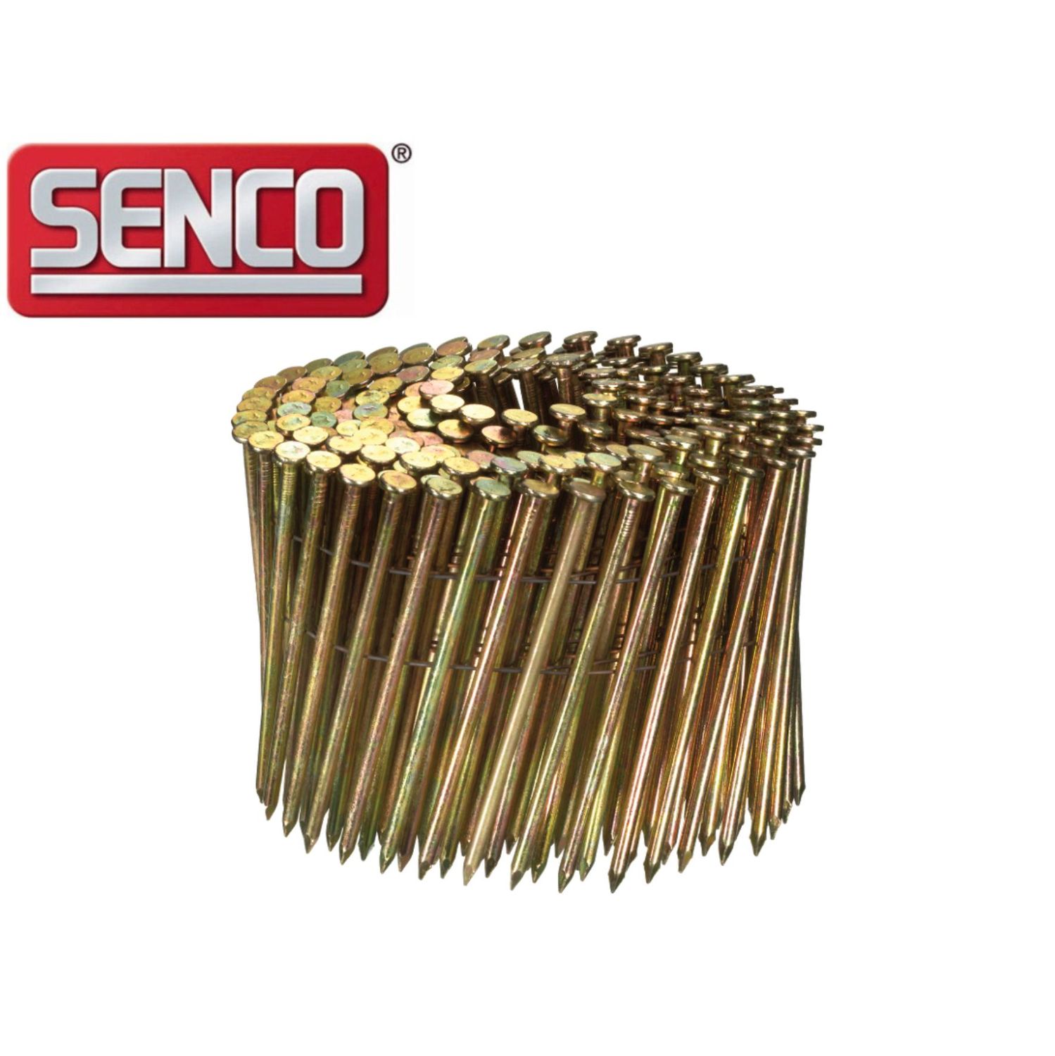 Coil Nail Senco 3.1 x 80 mm - HD28APBF - bright - smooth - 4.050 nails