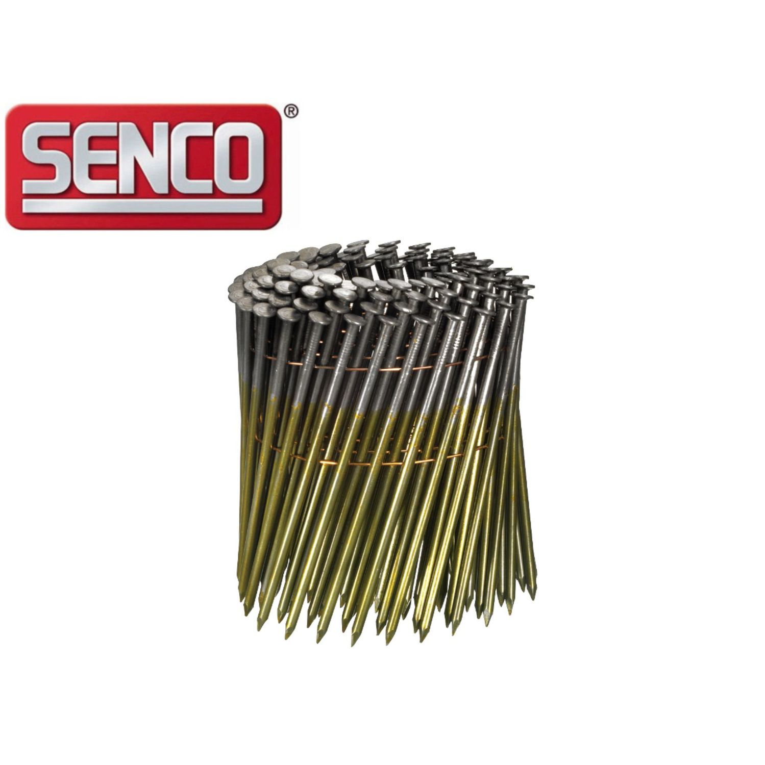 Coil Nail Senco 3.8 x 130 mm - MD36AABE - galvanized - smooth - 1.200 nails
