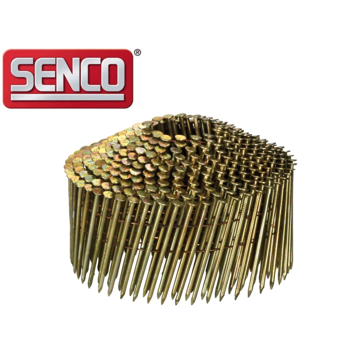 Senco RC15APBZ Coil nail - 1.6 x 32 mm - bright