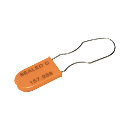 Padlock Seal 180