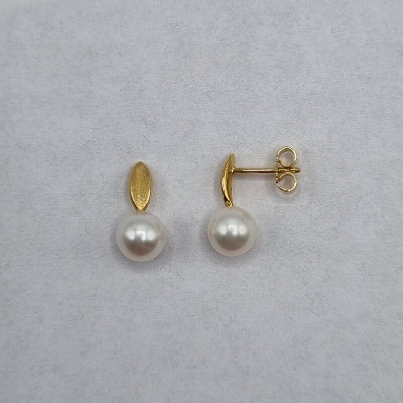 Ohrstecker Gelbgold
