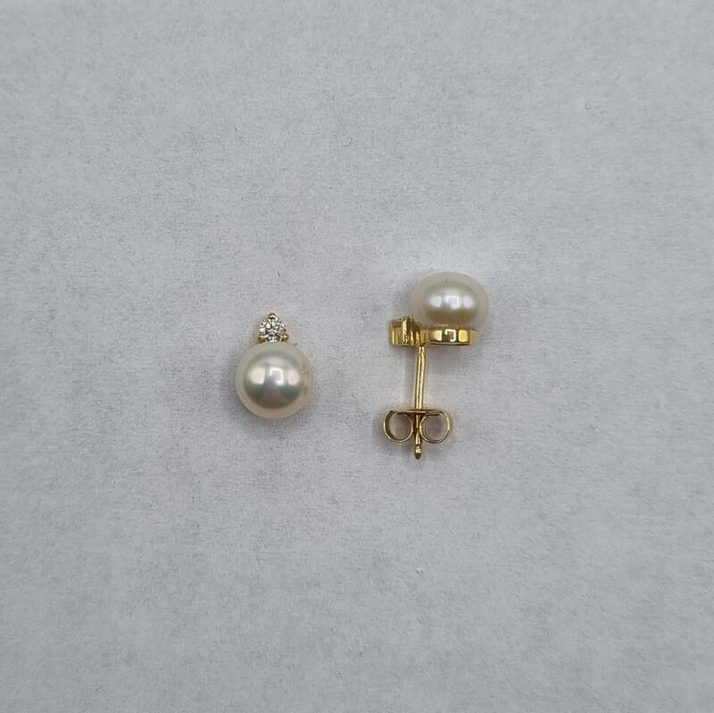 Ohrstecker Gelbgold