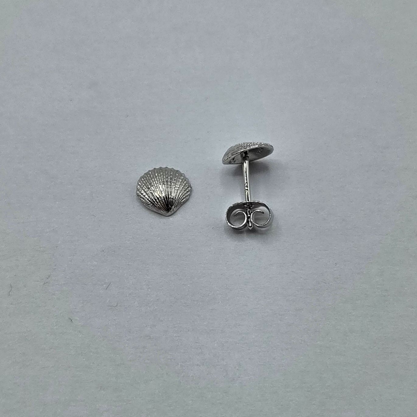 Ohrstecker Muschel Silber