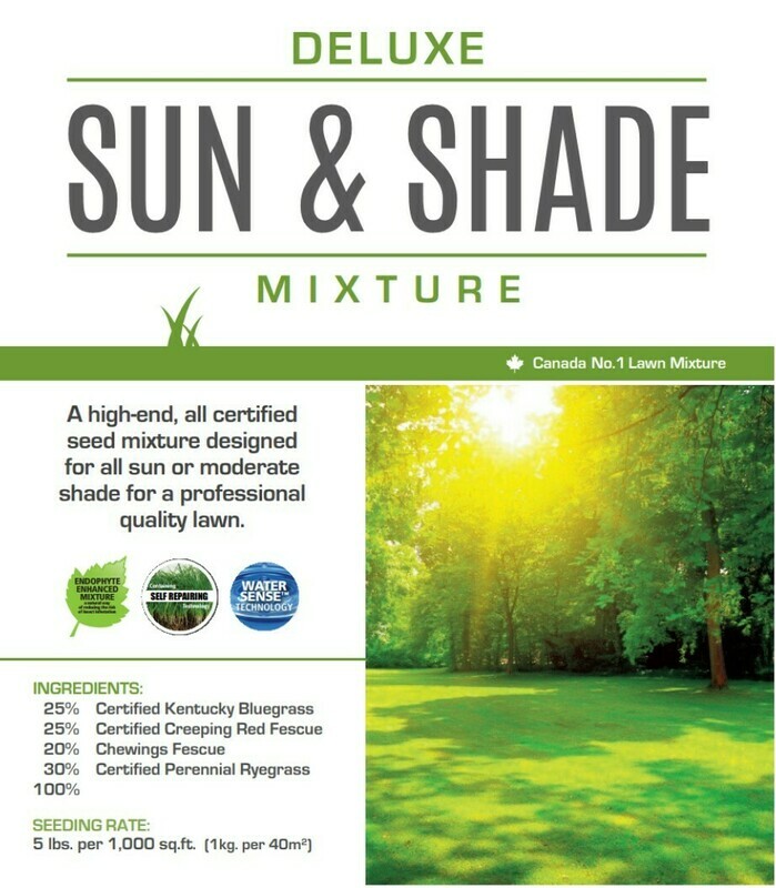 Sun&amp;Shade Grass seed