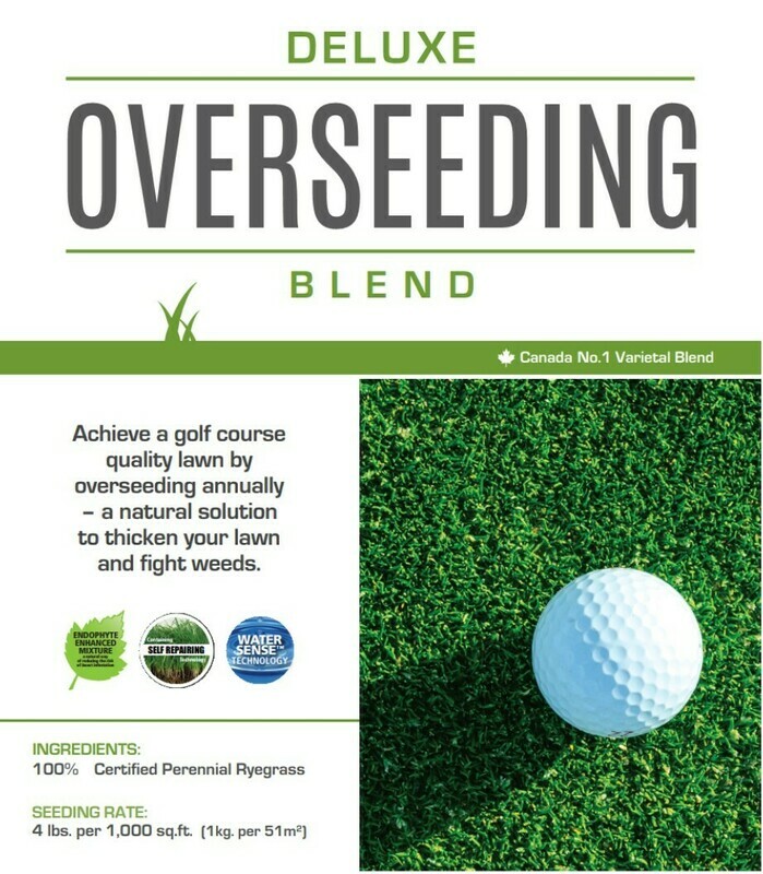 Over seed