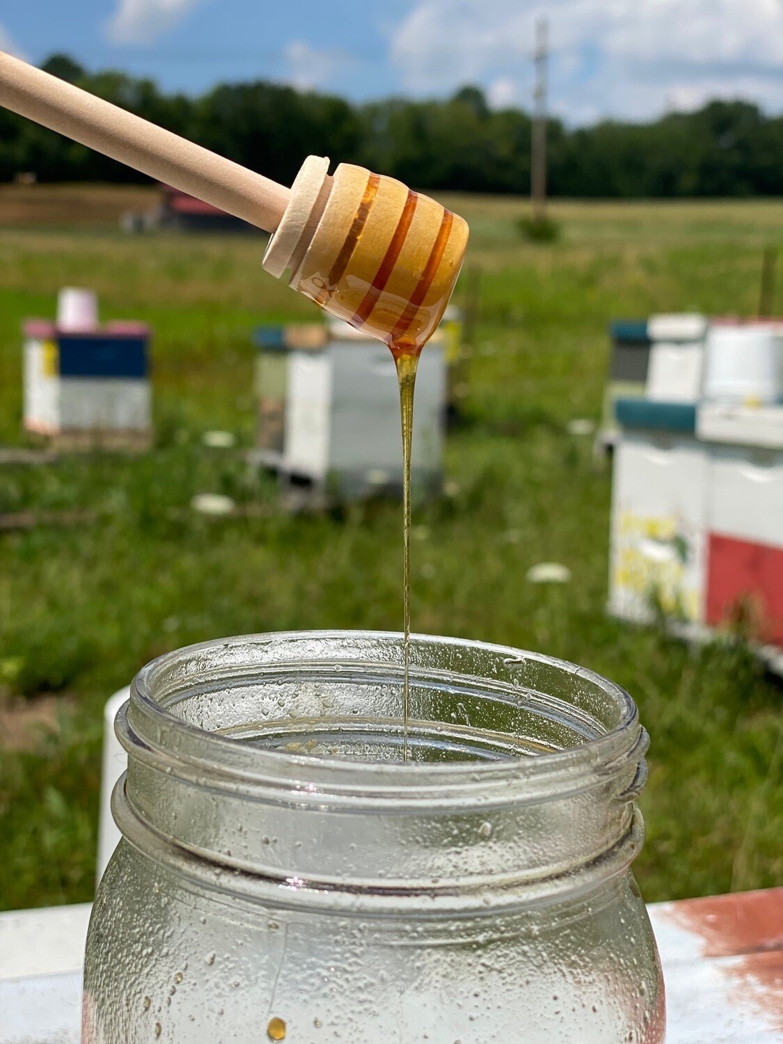 Honey Dipper