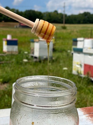 Honey Dipper