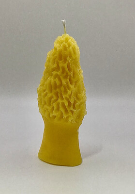 Morel Mushroom Candle