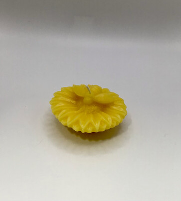 Floating Sunflower W/ Bee