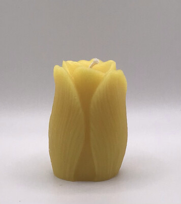 Tulip Candle