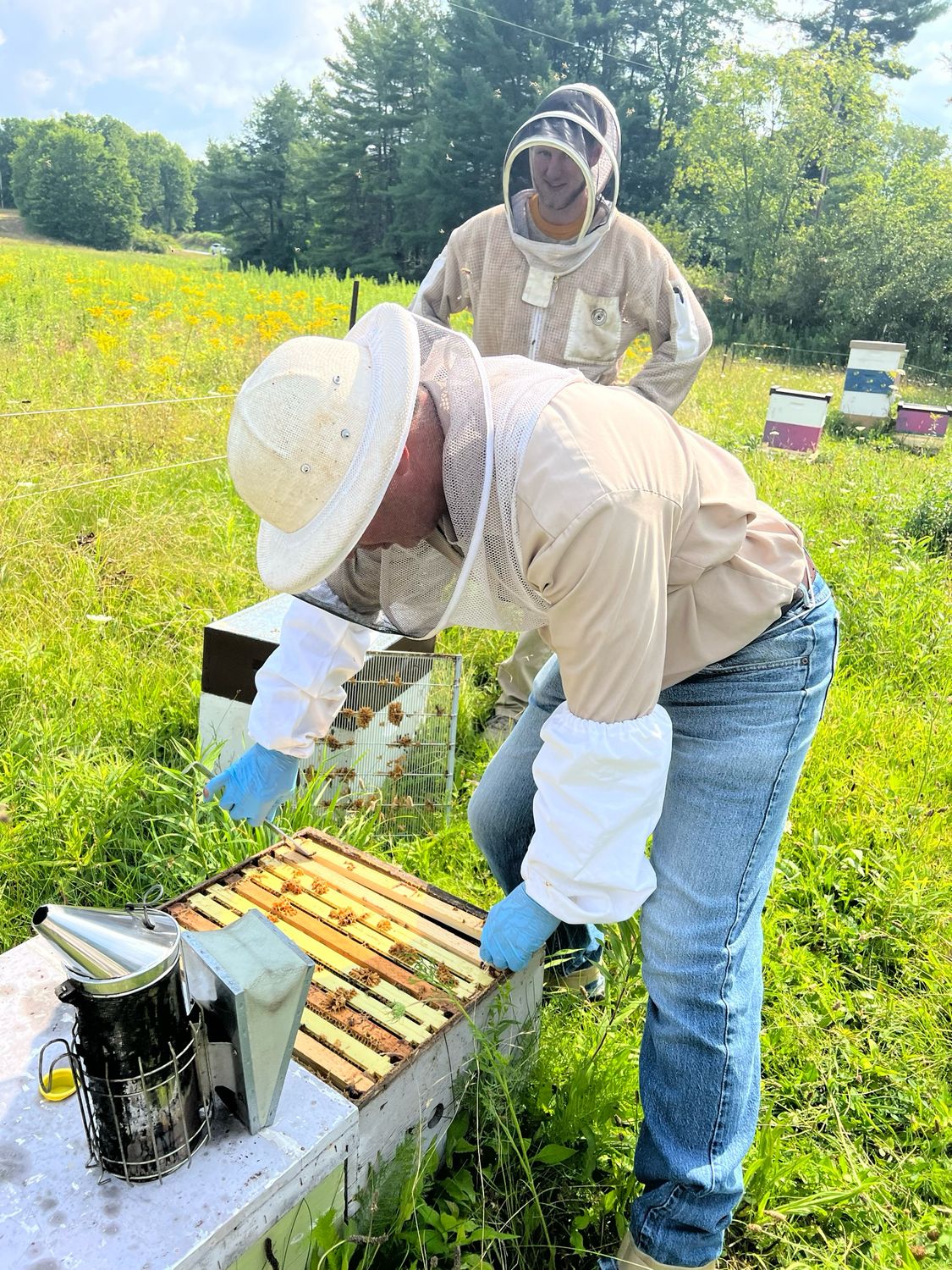 Beekeeping Lesson