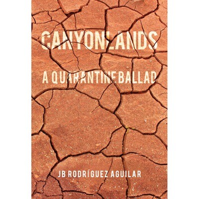 Canyonlands, a Quarantine Ballad