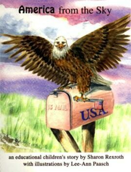 America From The Sky