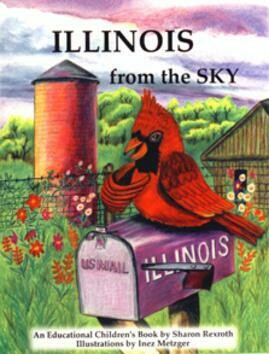 Illinois From The Sky