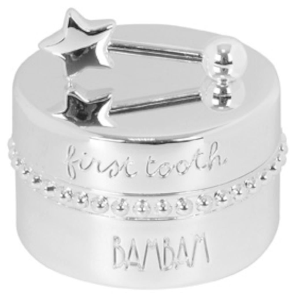 Silver Plated Tooth Box