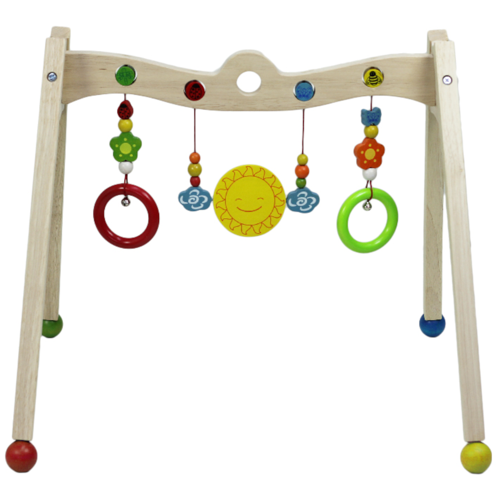 Baby Gym Activity