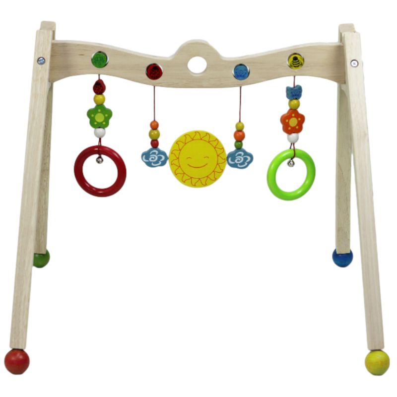 Baby Gym Activity