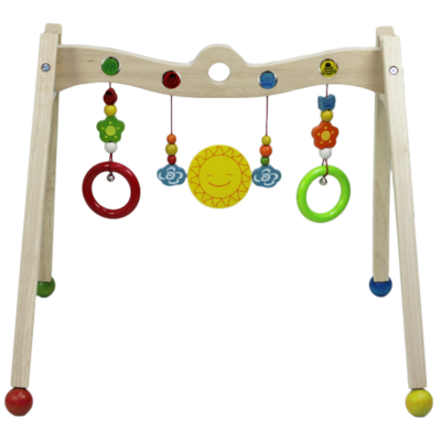 Baby Gym Activity