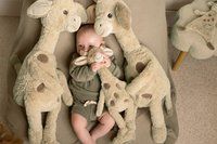 Happy Horse Giraf Gus Knuffel 32 cm - Beige - Baby knuffel