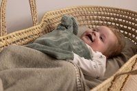 Happy Horse Mini Konijn Richie met knuffeldoek 28 cm - Groen - Baby cadeau