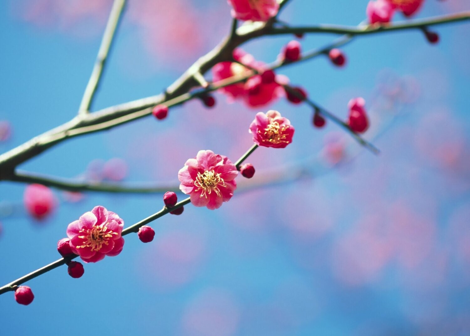 "YOGA, Reinigung & Selbstliebe im Frühling"
 vom 11. - 13.03.22 ehem. Kloster Allerheiligenberg, Lahnstein
zzgl. vegetarische Voll-Verpflegung EUR 50,00
zzgl. Unterkunft im  DZ EUR 25,00 pro Nacht