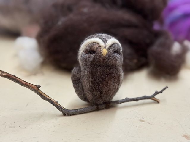 Needle Felting Workshop Fundraiser - Owls! August 17th