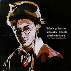 HARRY POTTER