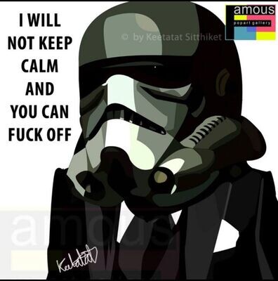 STORM TROOPER ver 2