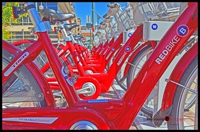 Fine Art Prints