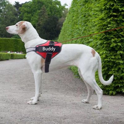 Personalized Dog Harness Reflective Adjustable Dog Harness Vest For small large Dog With Customized Patch Dogs Training Supplies