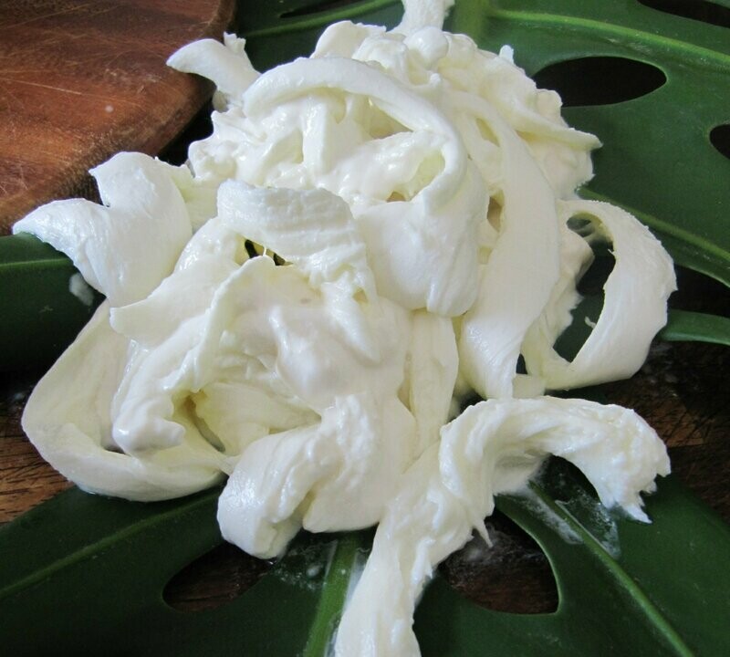 Stracciata di Bufala