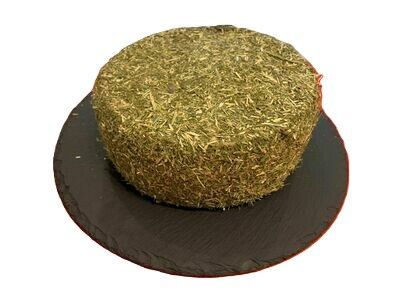 Pecorino Stagionato in Grotta