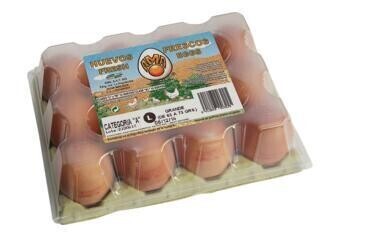 Huevos M 12 unidades