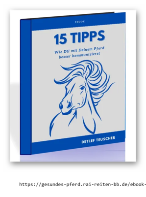 Hörbuch - "15 Tipps, wie Du besser mit Deinem Pferd kommunizierst"