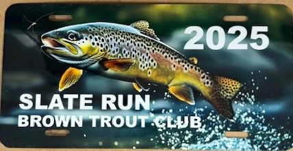 2025 Platinum Sponsorship