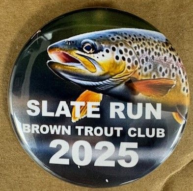 2025 Silver Sponsorship