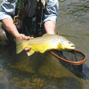 2026 Donation ONLY 2026 Donation ONLY