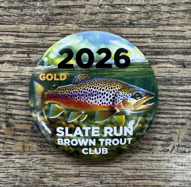 2026 Gold Sponsorship