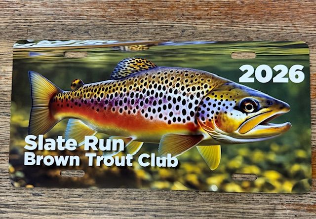 2026 Platinum Sponsorship