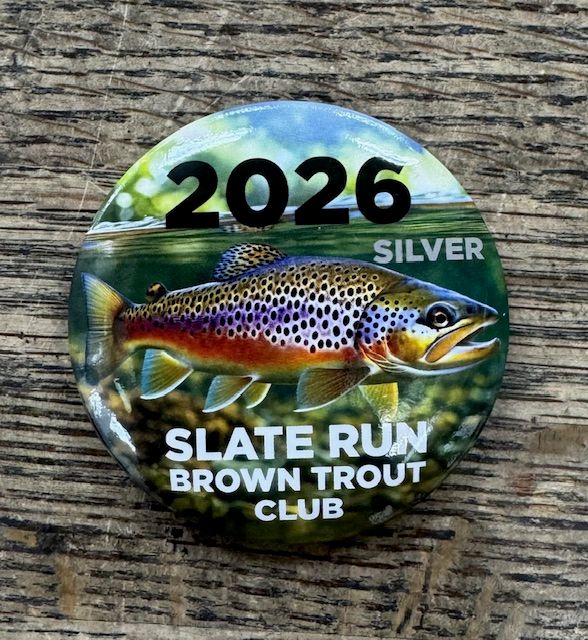 2026 Silver Sponsorship