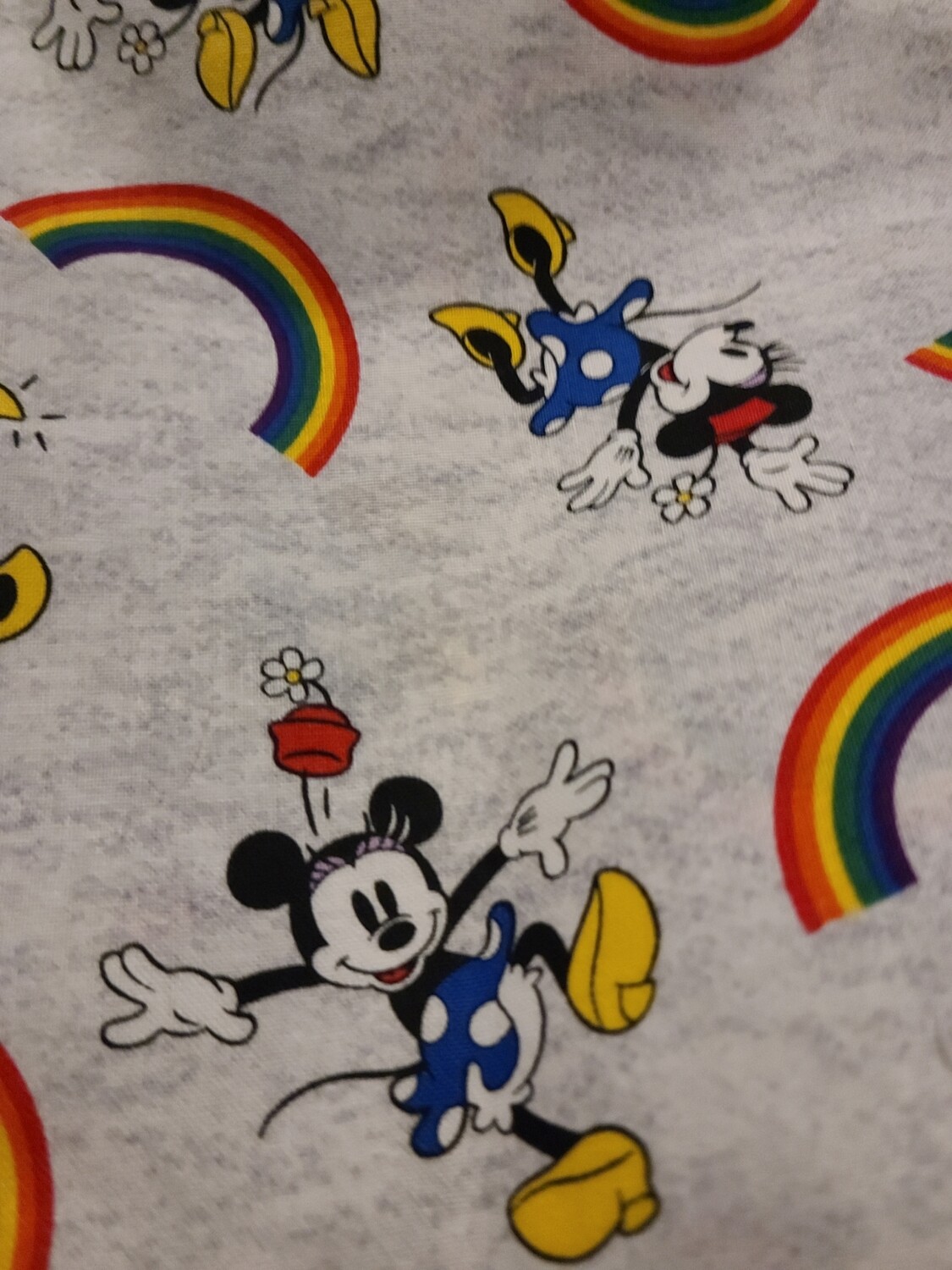 Rainbow Minnie