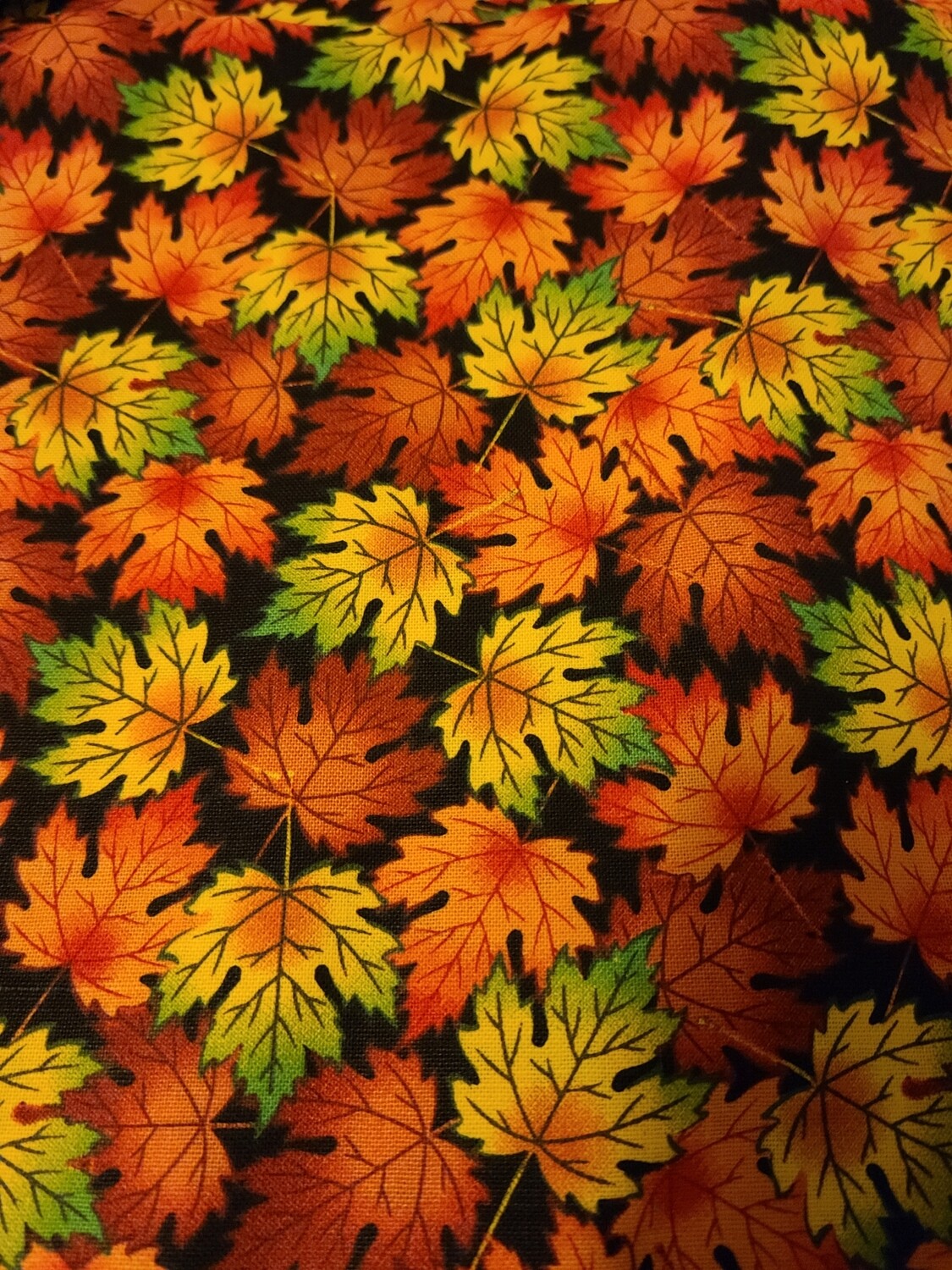 Fall Leaves on Black