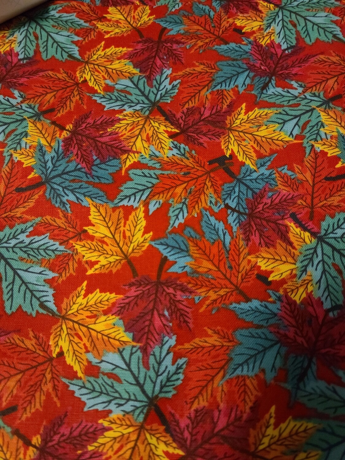 Colorful Leaves