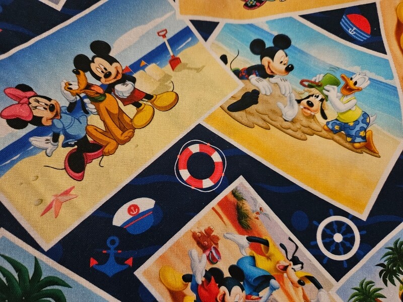 Mickey Summer Vacation