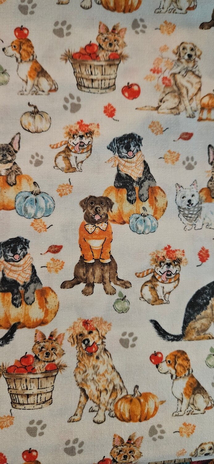 Pumpkin Dogs